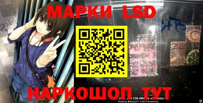 мяу мяу мука Владикавказ